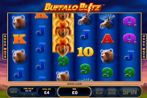 buffalo blitz playtech tragamonedas gratis