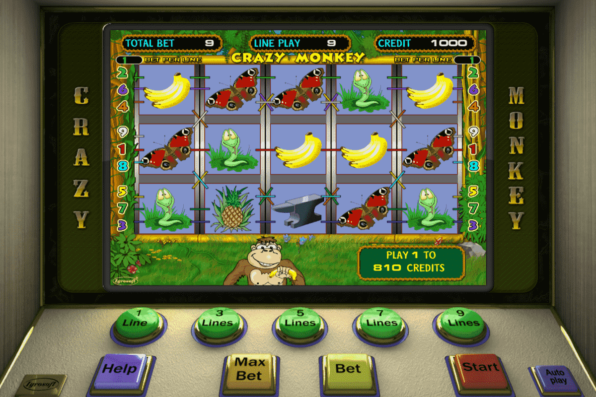 crazy monkey igrosoft screenshot