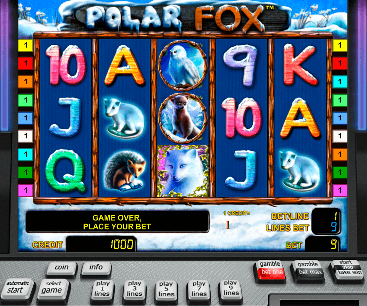 Polar Fox 🤩 Novomatic Tragamonedas Gratis Online